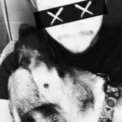 dogdreams