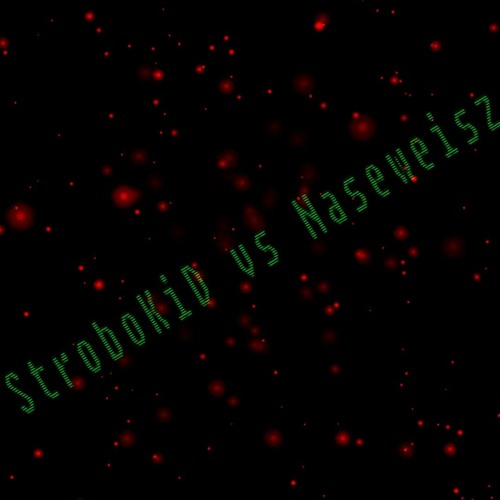 StroboKiD Vs Naseweisz Dolle!