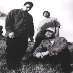 Classic Hip Hop - Rare Remixes