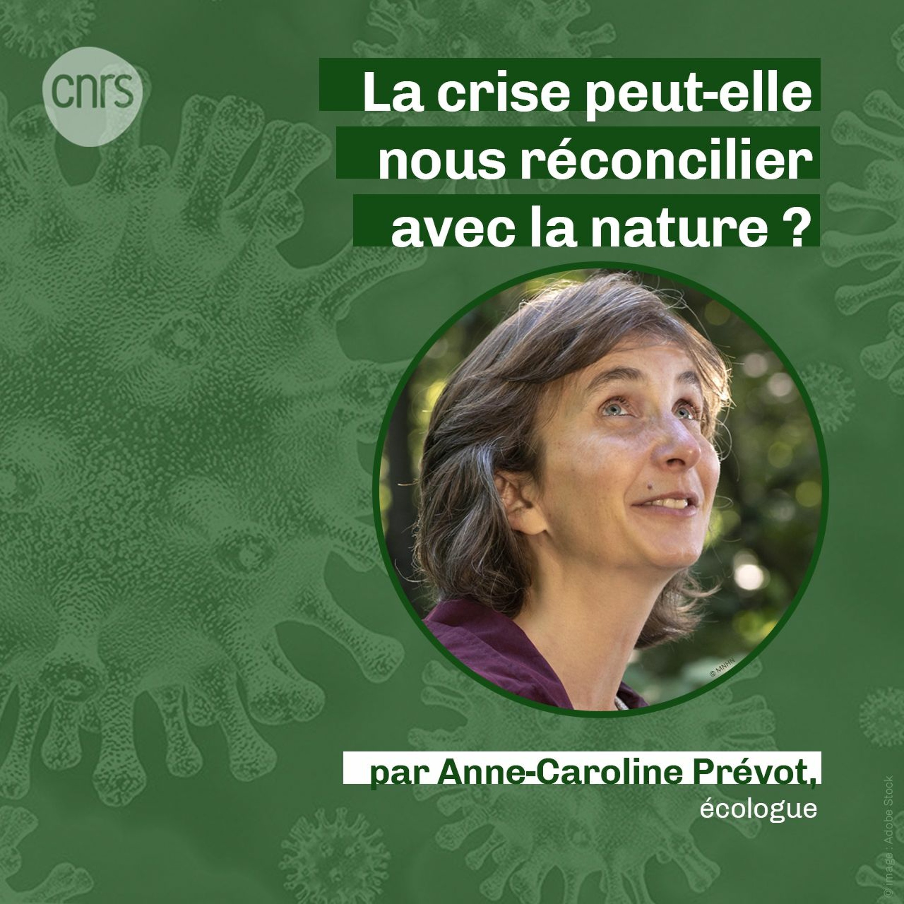 Les Podcasts du CNRS