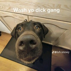 this shit bussin