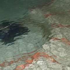 Acétylcholinestérase