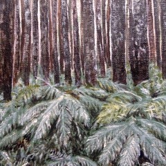 let the heavens dance tonight