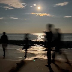 Fire Island Full Moon Set - Live at 5HTP