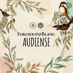 Audiense @ Forestrip, Blanc, 10.11.23