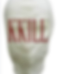 norules - siptilwedie (slo)