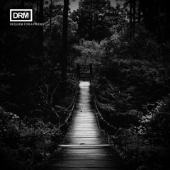 DRM - Requiem For A Friend