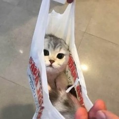 running up that hill (sped up)