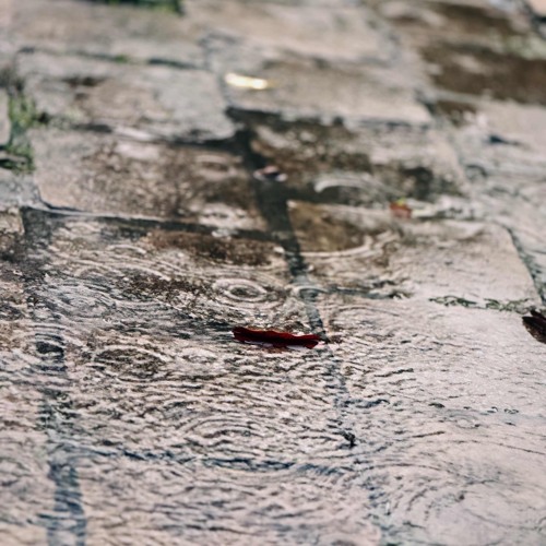 Về quê ngoại cover Nguyễn Hoài Ngân