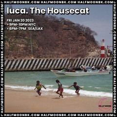 Luca. The Housecat January 20th 2023