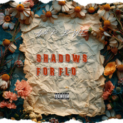 ajith p bwe - shadows for flo