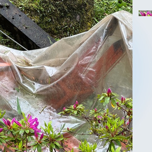 club random (十二) [129-132bpm]