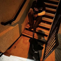 lul trophky - No Cap Rap