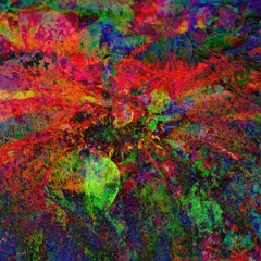 (NEWLAND₂MIX)