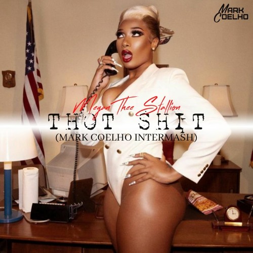 Megan Thee Stallion, Leanh, J Guathreaux, & D Experience - Thot Shit vs Internash (Mark Coelho Mash)