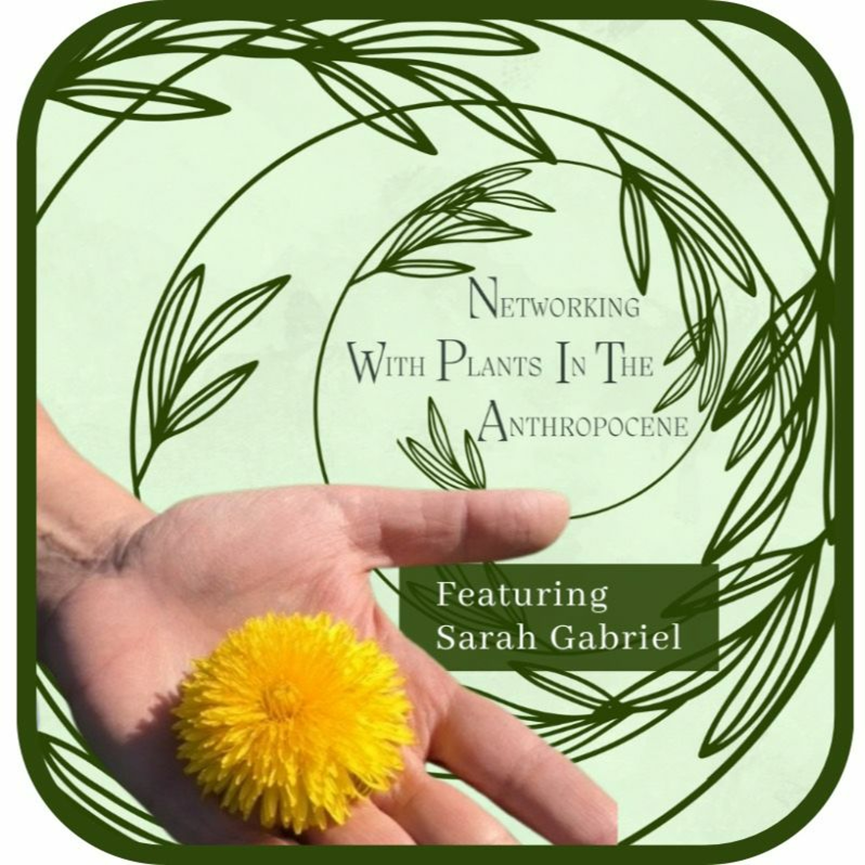 Podcast Networking with Plants in the Anthropocene