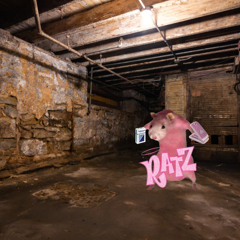 there are funky sounds in my basement