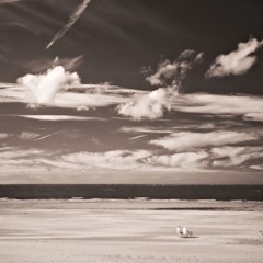 The Movie We Call Life