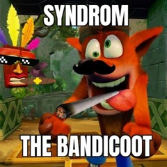 The Bandicoot