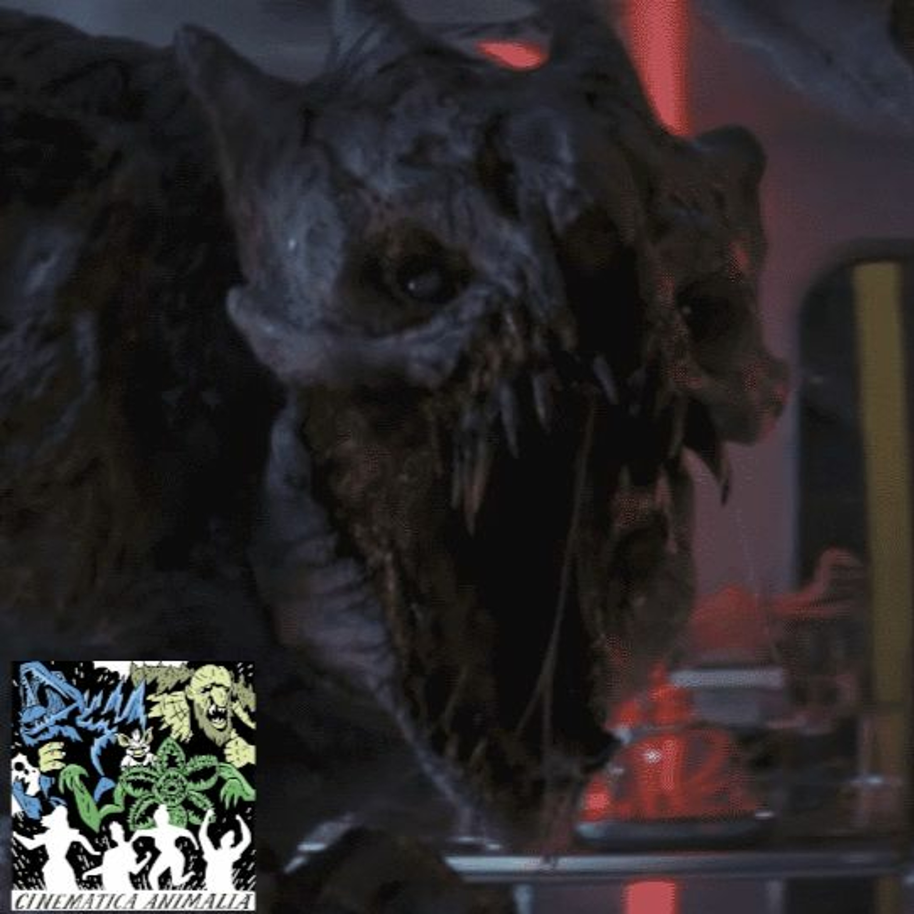 Cinematica Animalia
