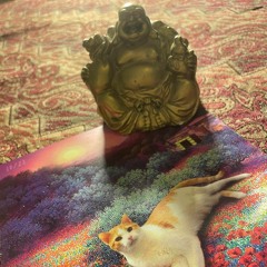 Unterwegs mit Buddha auf den Bergen des Himalayaaaaaa