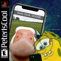 duck duck goose