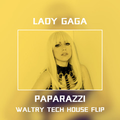 Lady Gaga - Paparazzi (Waltry Tech House Flip)