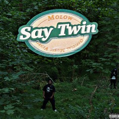 say twin (ltj)