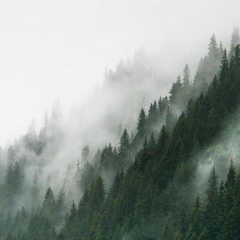 // mumford and sons ~ white blank page [slowed] //