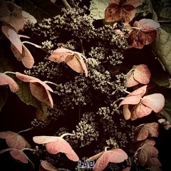 Reminiscing (prod. itslilbones !) @yobigmerce