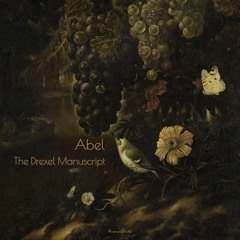 Carl Friedrich Abel – Allegro in D Minor, WKO 207