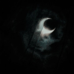 Lone wolf