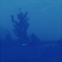 Lonely landscape