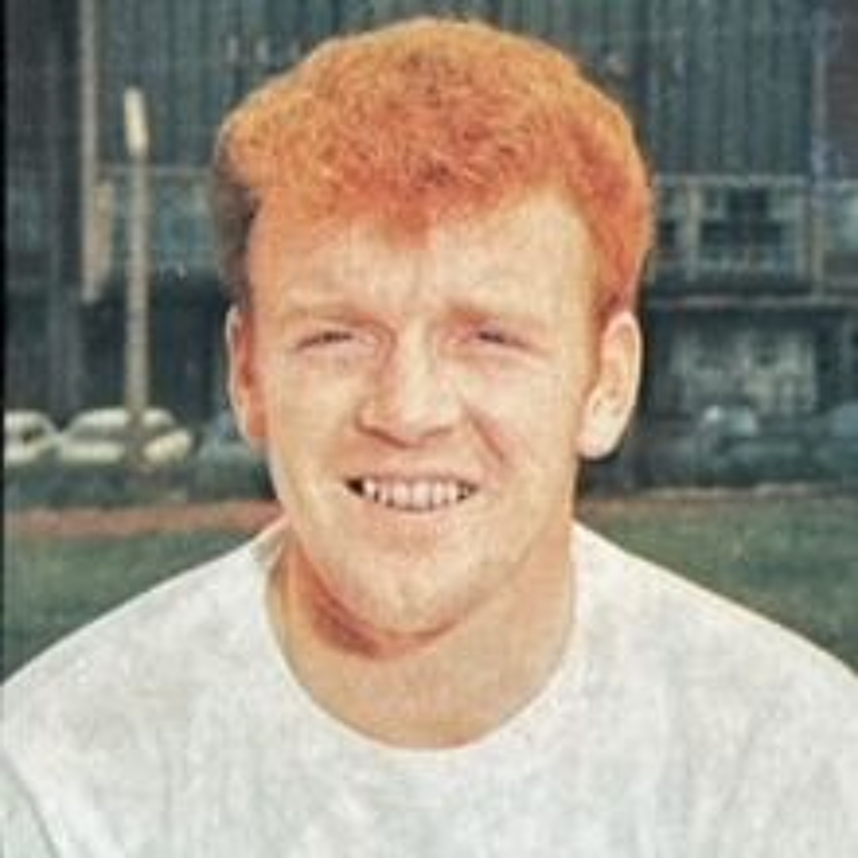 Generasjon Tippekamp