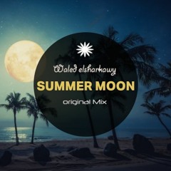 Waled Elsharkawy - Summer Moon (Original Mix)