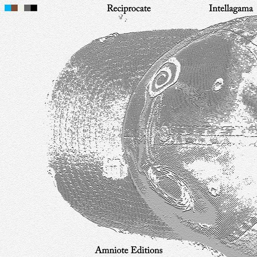 Premiere: Intellagama 'Reciprocate'