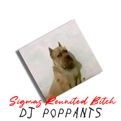 Sigmas Reunited Bitch