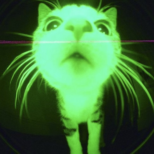 jumping out the gym prod lex