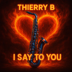 Thierry B i Say to You (Sulfoul Mix)
