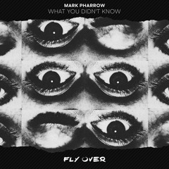 What You Didn't Know (Extended Master)