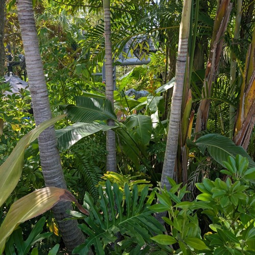 Ember (Liquid Drum and Bass)