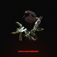 B - Two Thou - Where Are We Going (Chevel ‘M32’ Remix)