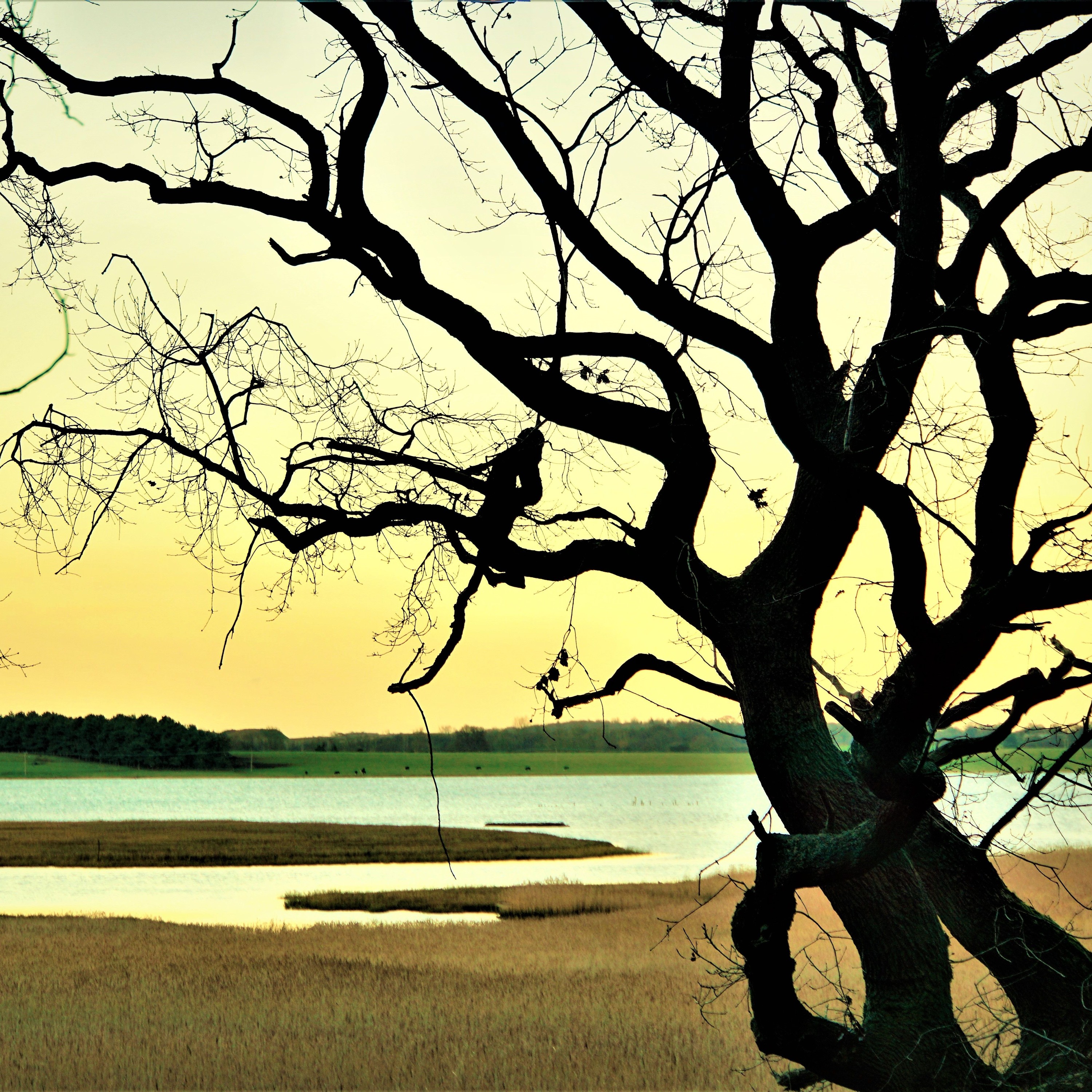 Soothing and relaxing piano music