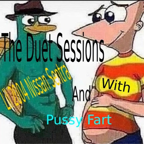 What Is A Pussy Fart