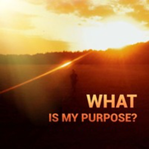 A godly perspective that shapes the purpose of your life