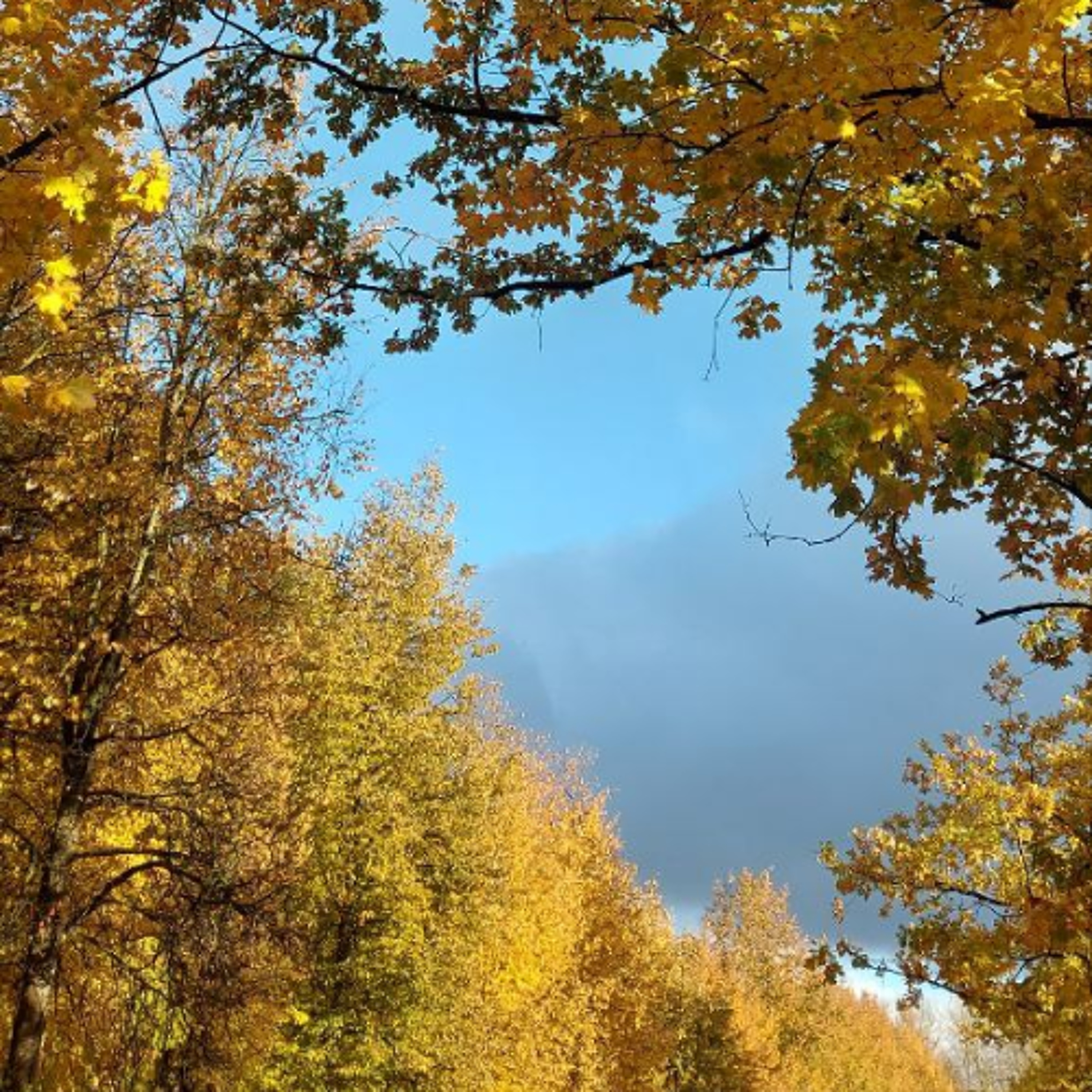 Autumn episode artwork