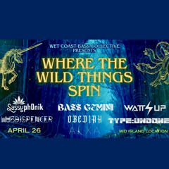 Sassyph0nik - Where the Wild things Spin
