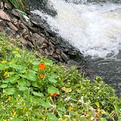 startagain (iphone session)