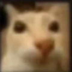 MASTER_CHACHACHÁ_MarioParrilla