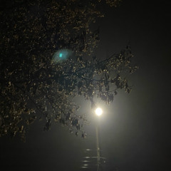 Sky  (music vid in desc)